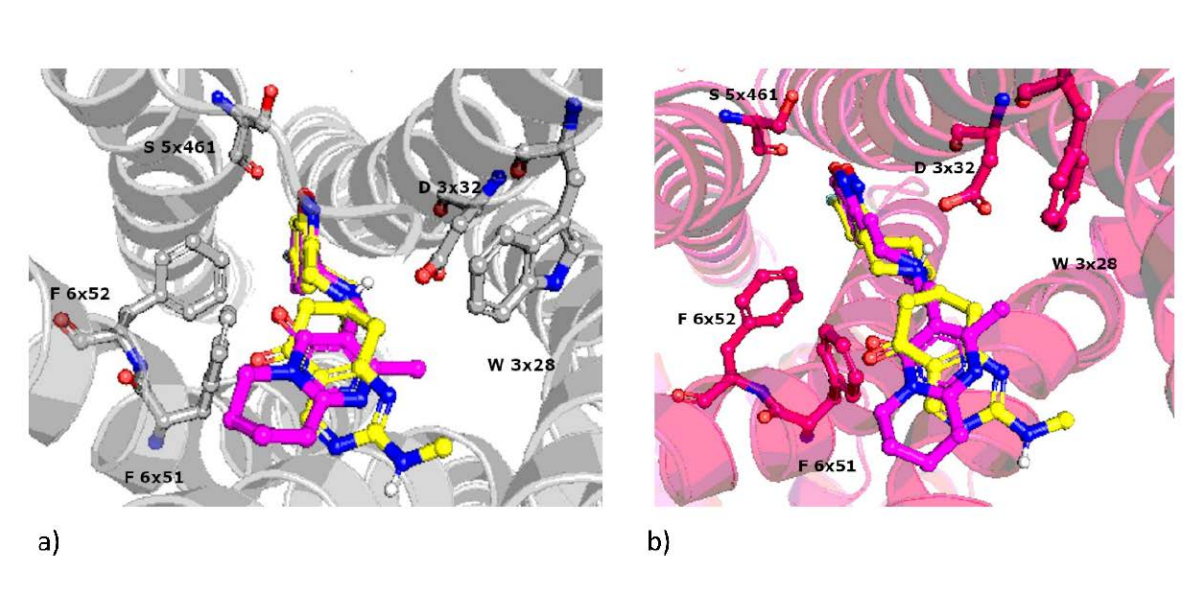 Comparison of docking poses of CHEMBL576756 (magenta) and co-crystallized risperidone (yellow) for a) 5HT2A, and b) D2 receptors. Picture generated in Pymol 