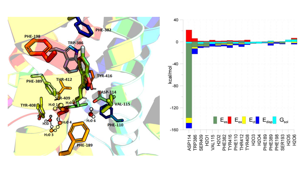 Representation of D2 receptor active sites. Centroids of the first