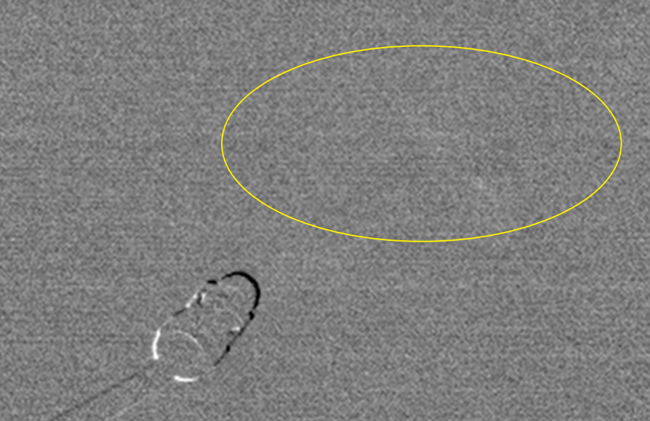 Thermogram of laminar emission of ammonia at the concentration of 3000 ppm, at the ambient temperature of 20 oC in the background area at 6o C. FLIR GF306 camera