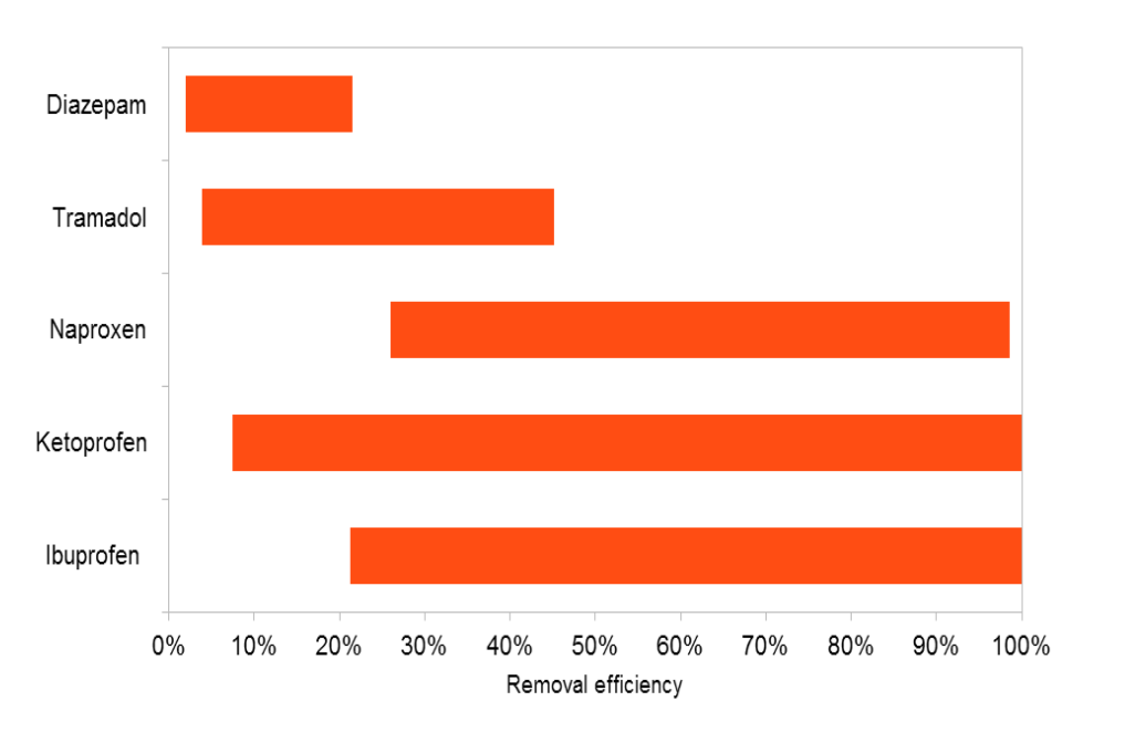 Removal efficiencies from the liquid phase in conventional wastewater plant